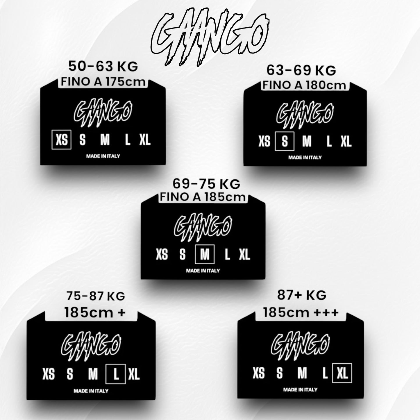 FastLife Tracksuit + Reflective Gloves