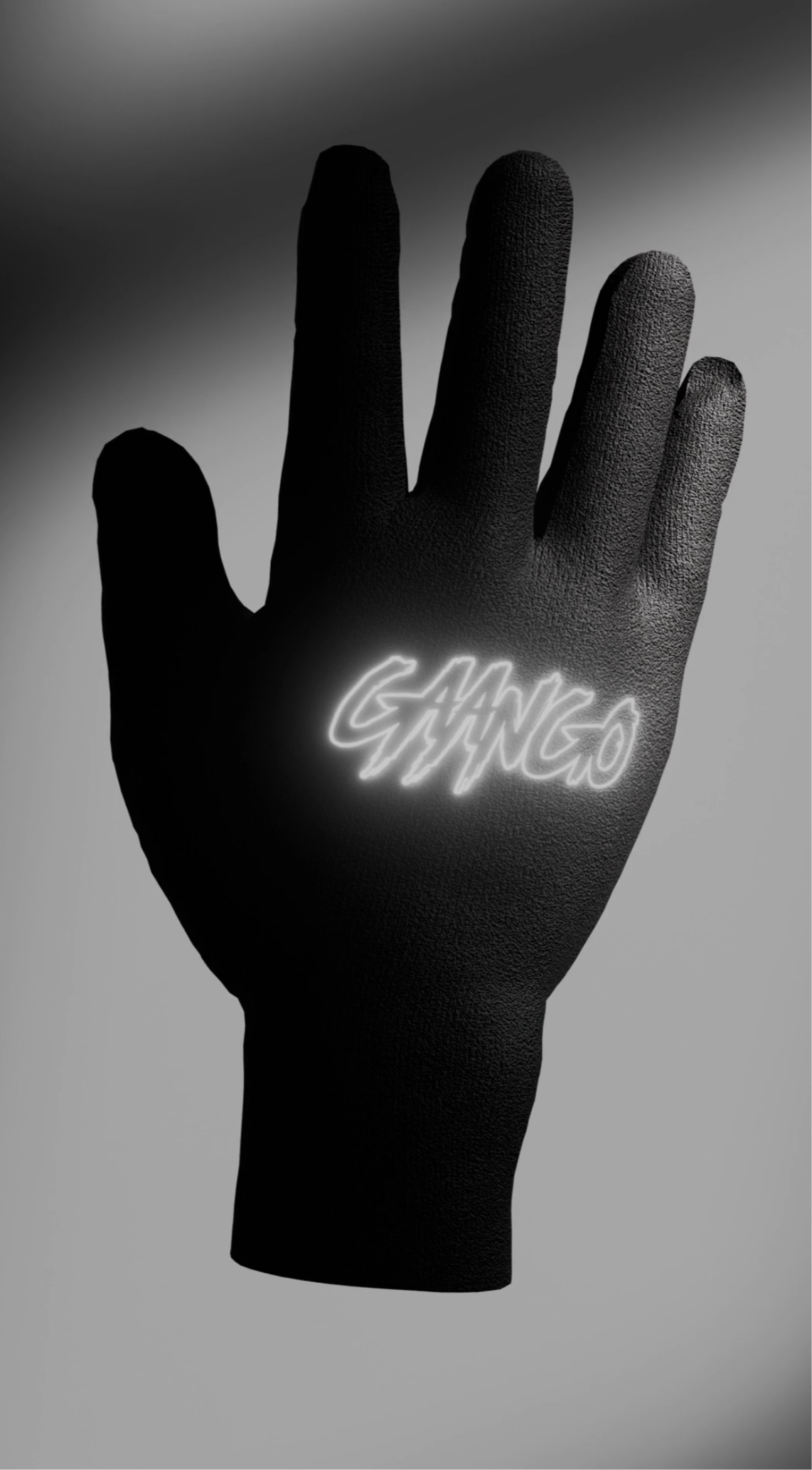 FastLife Tracksuit + Reflective Gloves